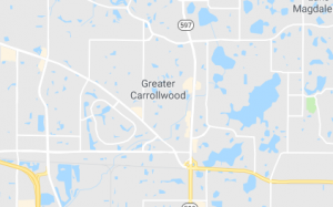 btdt_carrolwood_map