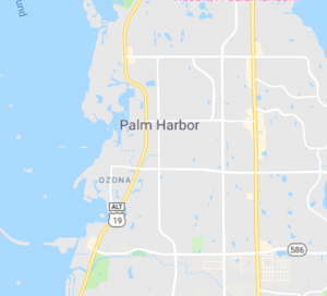 palmharbor_map palmharbor_map