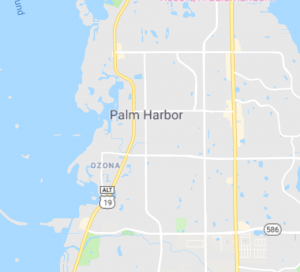 palmharbor_map